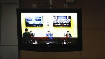 电视视频会议,电视视频会议的实时沟通革命