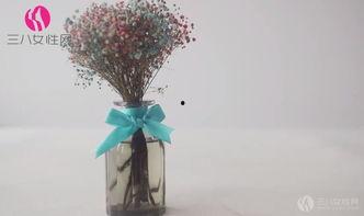 蝴蝶节怎么打视频,捕捉美丽瞬间，记录自然之美