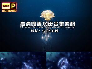 生物 视频,视频揭示生命科学前沿