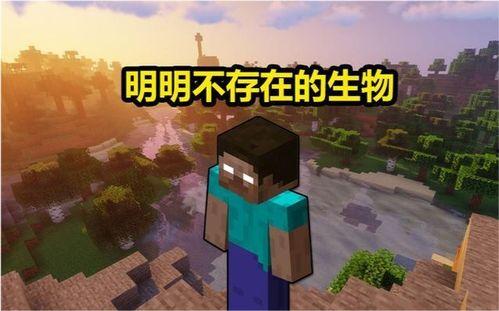我的世界him视频,揭秘神秘生物的惊悚之旅