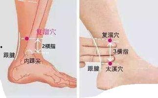 刺灸法视频,中医针灸入门必备