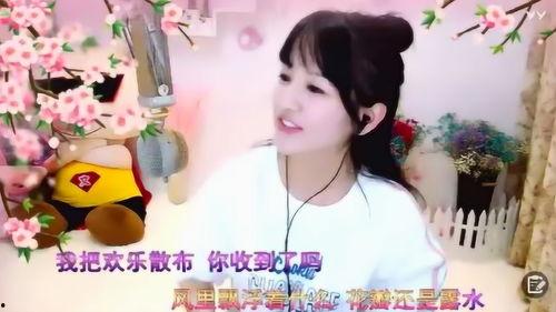 文儿所有视频歌曲